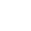 Free Shipping Icon